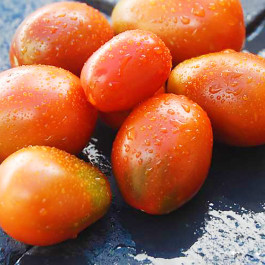 Tomata bombeta ECO de Rupià ½kg
