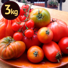 Tomata assortiment de varietats ECO de Rupià 5 kg
